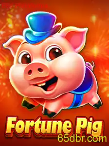FortunePig: Exploring the Game and Its Mechanics